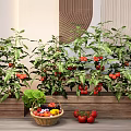 Vegetable Plant Combination In Wooden Planter Boxes With Ripe Tomatoes Leafy Greens And Colorful Basket