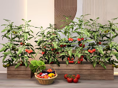 Vegetable Plant Combination In Wooden Planter Boxes With Ripe Tomatoes Leafy Greens And Colorful Basket 3d model