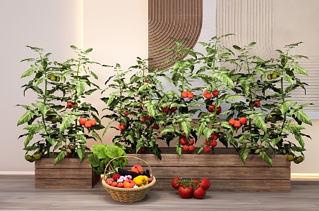 crop tomato flower box crop vegetable picking garden 3d model