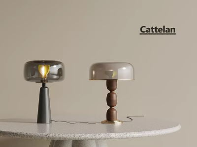 Cattelan Modern Designer Table Lamps With Transparent Shade And Wooden Base On White Round Table 3d model