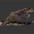 Red Rock Terrain With Irregular Eroded Rock Formations And Natural Vegetation Growth