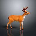 Realistic Orange And White Deer With Antlers Standing On Reflective Black Surface And Gray Background