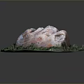 Natural Large Rock Surrounded By Lush Green Grass And Pink Leaves