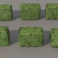 Six Green Cube Shaped Shrubs Neatly Arranged on Gray Background 3d model