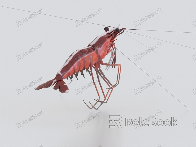 Shrimp, shrimp, lobster, crayfish, skin shrimp, prawn, nine-section shrimp model