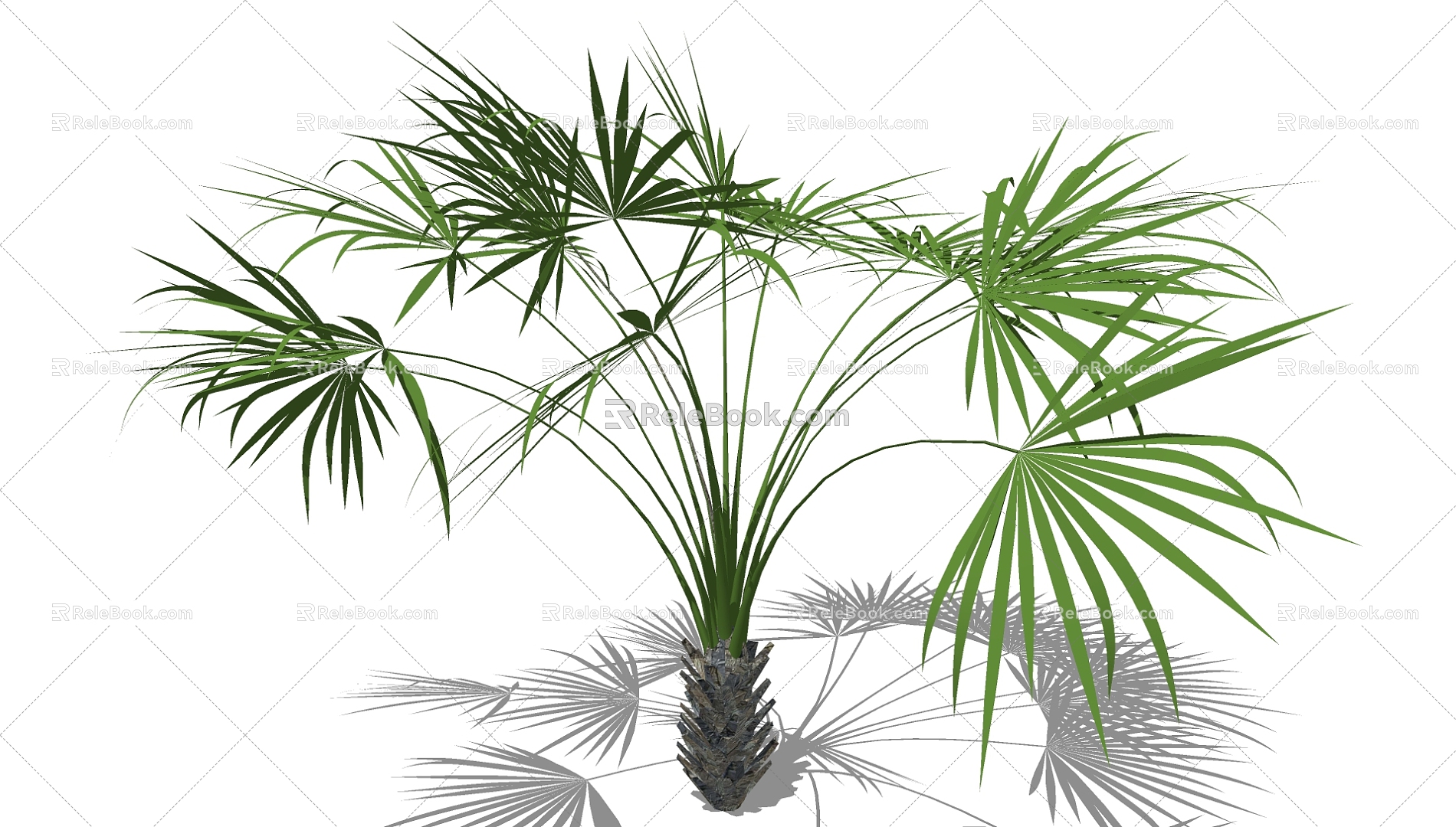 Palm Tree 3d model