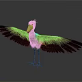 Modern Whalehead Stork Bootbeak Stork Whalehead Crane 3d model