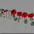 Red Poppies With Green Stems And Leaves On Gray Background With Reflections