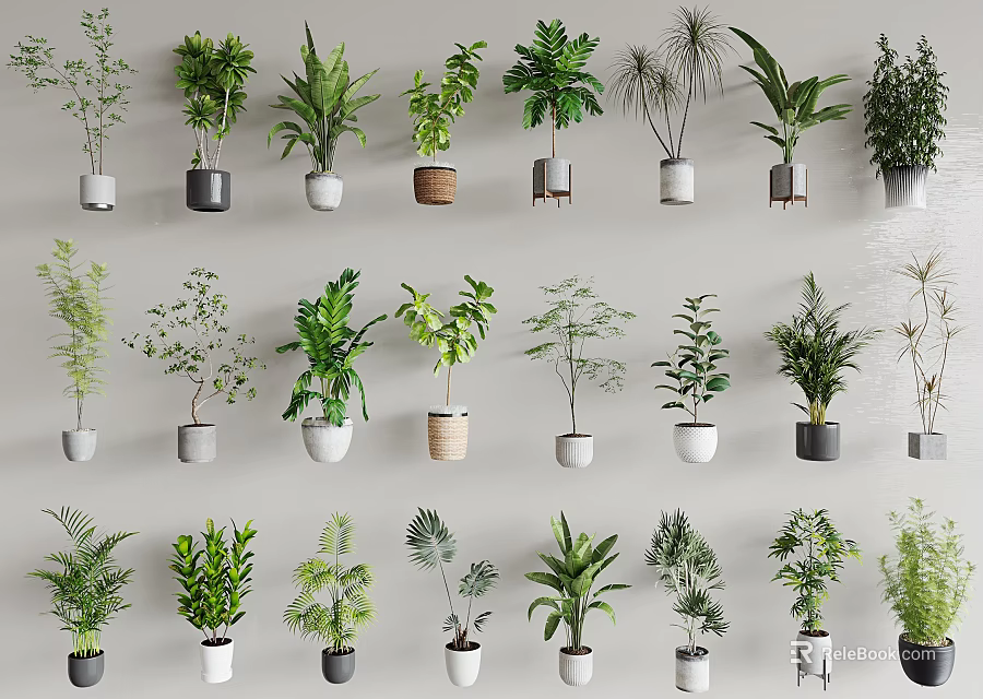 Diverse Bonsai Potted Plants Displayed In Ceramic And Concrete Pots With Fresh Green Foliage 3d model 