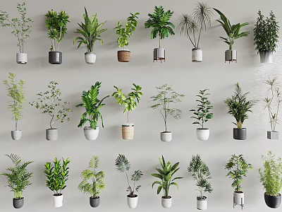Diverse Bonsai Potted Plants Displayed In Ceramic And Concrete Pots With Fresh Green Foliage 3d model