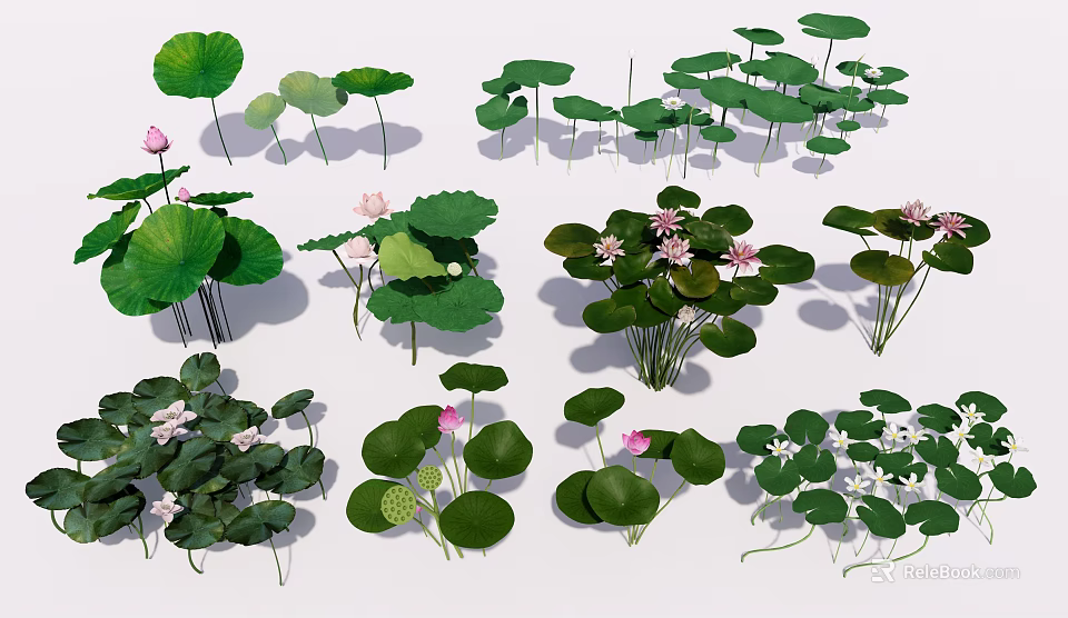 Aquatic Plants Collection With Lotus Lily Pads Green Leaves And Pink Flowers 3d model 