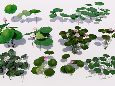 Aquatic Plants Collection With Lotus Lily Pads Green Leaves And Pink Flowers 3d model