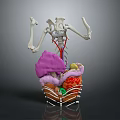 Food Digestion Process In Human Body 3D Model With Skeleton And Organs