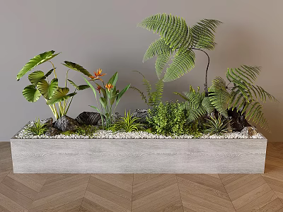 Indoor Greenery Wall With Various Plants In Concrete Planter And Modern Background 3d model