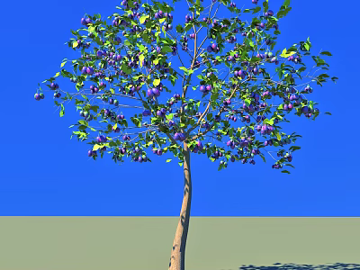Lush Arbor With Green Leaves And Purple Fruits Against Blue Sky And Green Ground 3d model