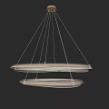 Modern Double Ring Crystal Chandelier with Metal Hanging Frame Interior Design 3d model