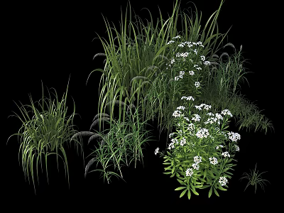 Varied Plant Combination Featuring Grasses White Flowers And Lush Green Foliage 3d model