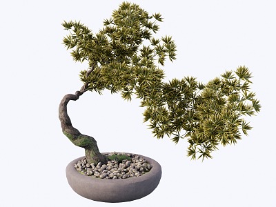 potted modeling tree 3d model