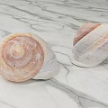 Two Natural Aquatic Animal Shells With Spiral Pink And White Patterns On Smooth Marble Surface