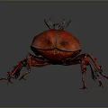 Realistic Red Horned Beetle With Shiny Exoskeleton On Dark Background Surface