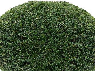 green plant shrub ball 3d model