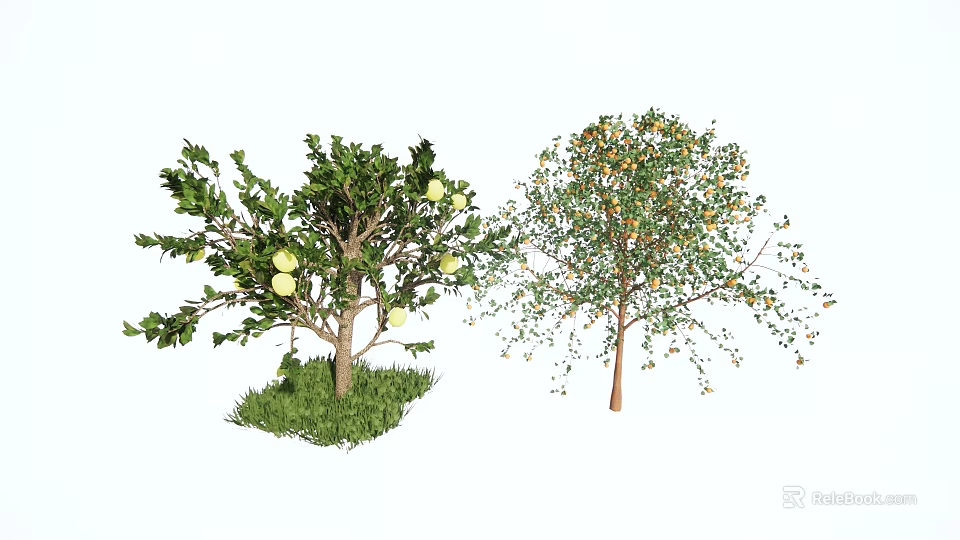 Healthy Fruit Trees as Agricultural Crops with Green and Yellow Fruits Growing on Grass 3d model 
