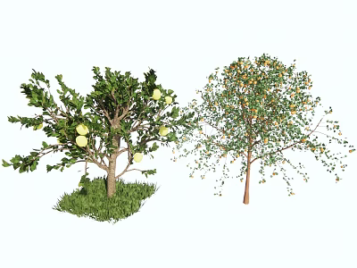 Healthy Fruit Trees as Agricultural Crops with Green and Yellow Fruits Growing on Grass 3d model