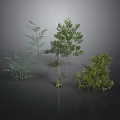 Various Types of Green Plants with Different Heights Shapes Trees and Shrubs 3D Rendering
