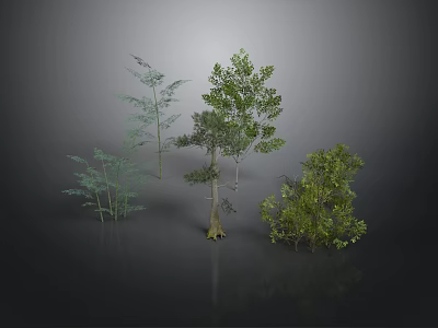 Various Types of Green Plants with Different Heights Shapes Trees and Shrubs 3D Rendering 3d model