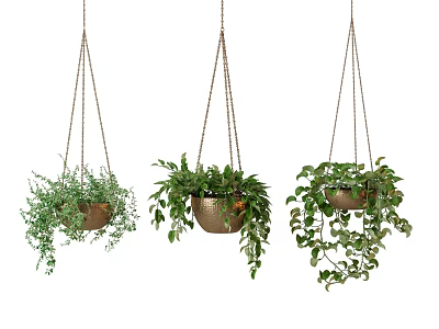 Hanging Potted Plants With Lush Green Foliage In Brown Planters On Chains 3d model