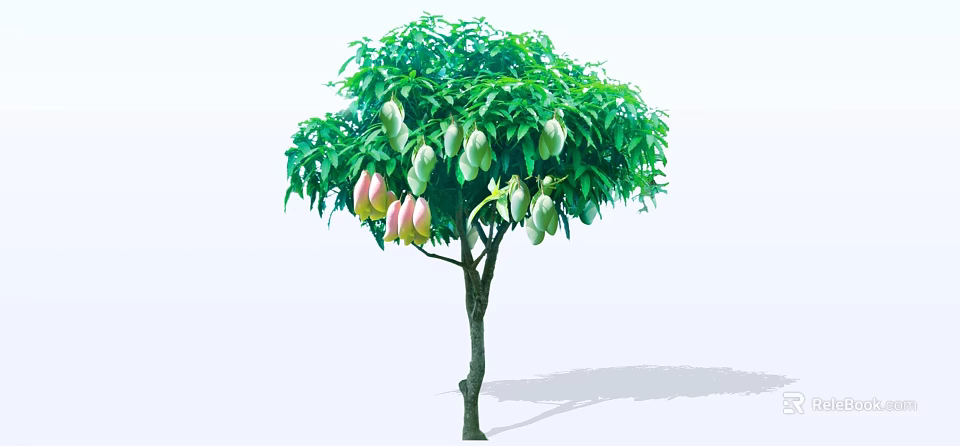 Fruit Bearing Arbor Tree With Lush Green Leaves And Ripe Hanging Fruits 3d model 
