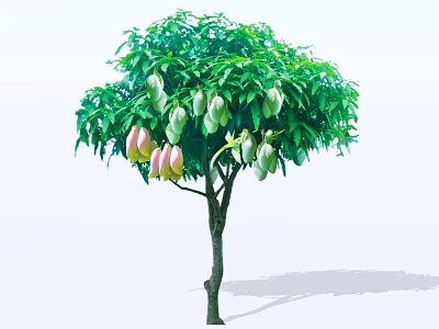 Fruit Bearing Arbor Tree With Lush Green Leaves And Ripe Hanging Fruits 3d model