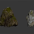 Natural Wood and Stone Pieces with Mossy Surfaces and Rough Textures