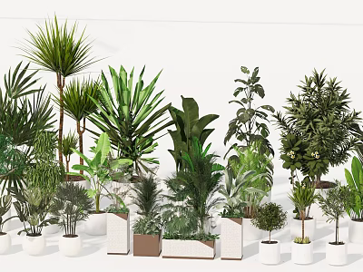Diverse Indoor Potted Plants In Stylish Ceramic Pots For Home Decor 3d model