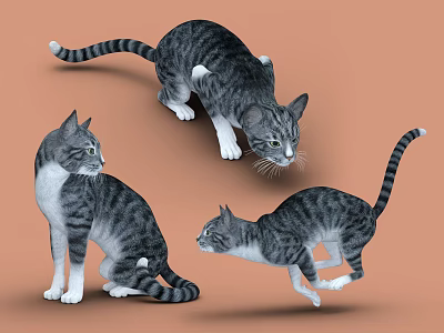 Gray And White Reptiles Showcasing Different Poses On Orange Background 3d model