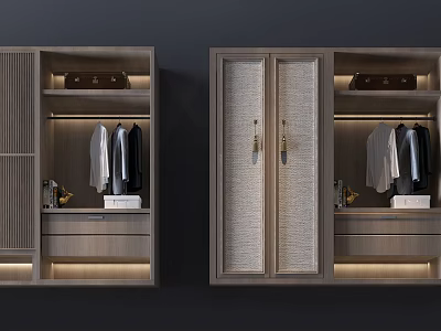 Modern Wooden Wardrobe Interior Design With Glass Doors Lighting And Clothing Racks 3d model
