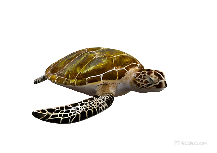 Marine Aquatic Sea Turtle With Golden Brown Patterned Shell And Detailed Flippers 3d model 