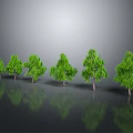 Six Green Trees of Various Sizes Against Gray Background With Reflections on Ground