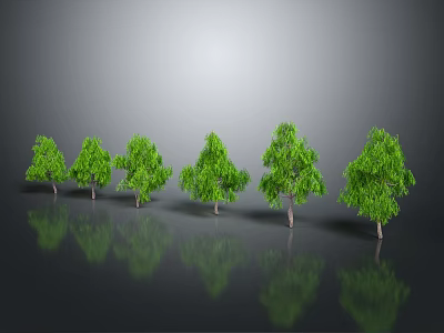 Six Green Trees of Various Sizes Against Gray Background With Reflections on Ground 3d model