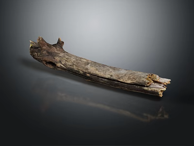 Natural Wooden Stone Piece With Textured Surface And Knots On Dark Background 3d model