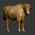 Lifelike Bison Sculpture With Detailed Fur Texture And Standing Pose Design