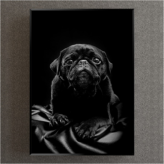 Modern Animal Painting Simple Black and White Study Animal Dog Decorative Painting 3d model