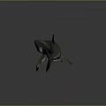 Realistic 3D Shark Model With Open Mouth And Black-Tipped Fins On Gray Reflective Surface