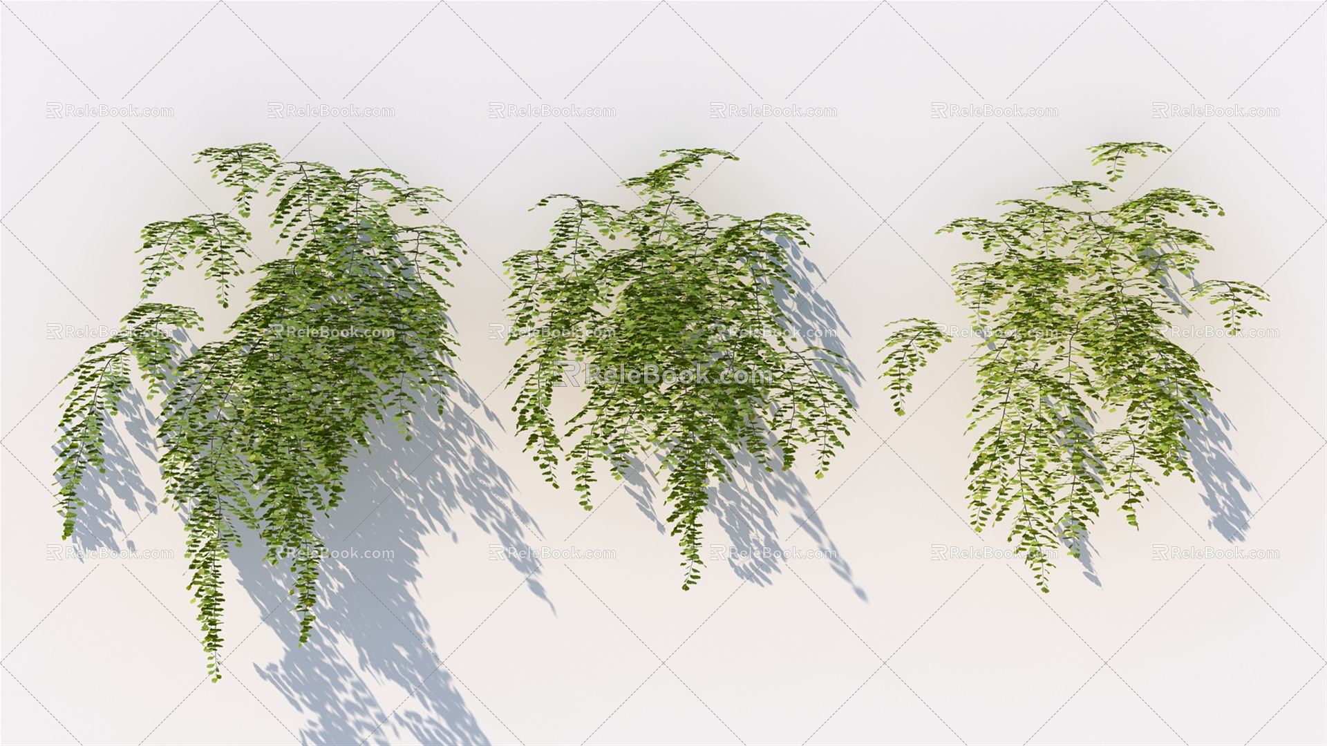 Modern vine climbing wall plant 3d model