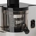 Stainless Steel Electric Juicer With Fresh Carrots And Storage Container