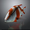 Vibrant Red And White Striped Fish With Colorful Fins On Dark Background
