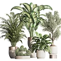 Indoor Potted Plants with Various Green Foliage and Decorative Ceramic Pots for Modern Home Decoration