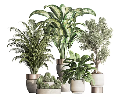 Indoor Potted Plants with Various Green Foliage and Decorative Ceramic Pots for Modern Home Decoration 3d model