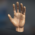 Realistic Human Hand Anatomical Model With Detailed Fingers And Natural Skin Texture