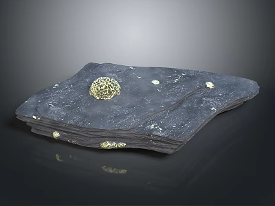 Natural Wooden Stone Slab With Golden Decorative Inlay And Smooth Surface Texture 3d model